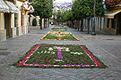 Alfombras para el Corpus