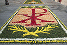 Alfombra para el Corpus