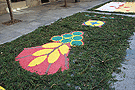 Alfombra para el Corpus