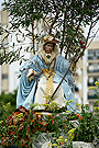 Procesión de la Divina Pastora (Parroquia de las Viñas)