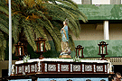 Procesión de la Inmaculada Concepción (Parroquia de los Dolores)